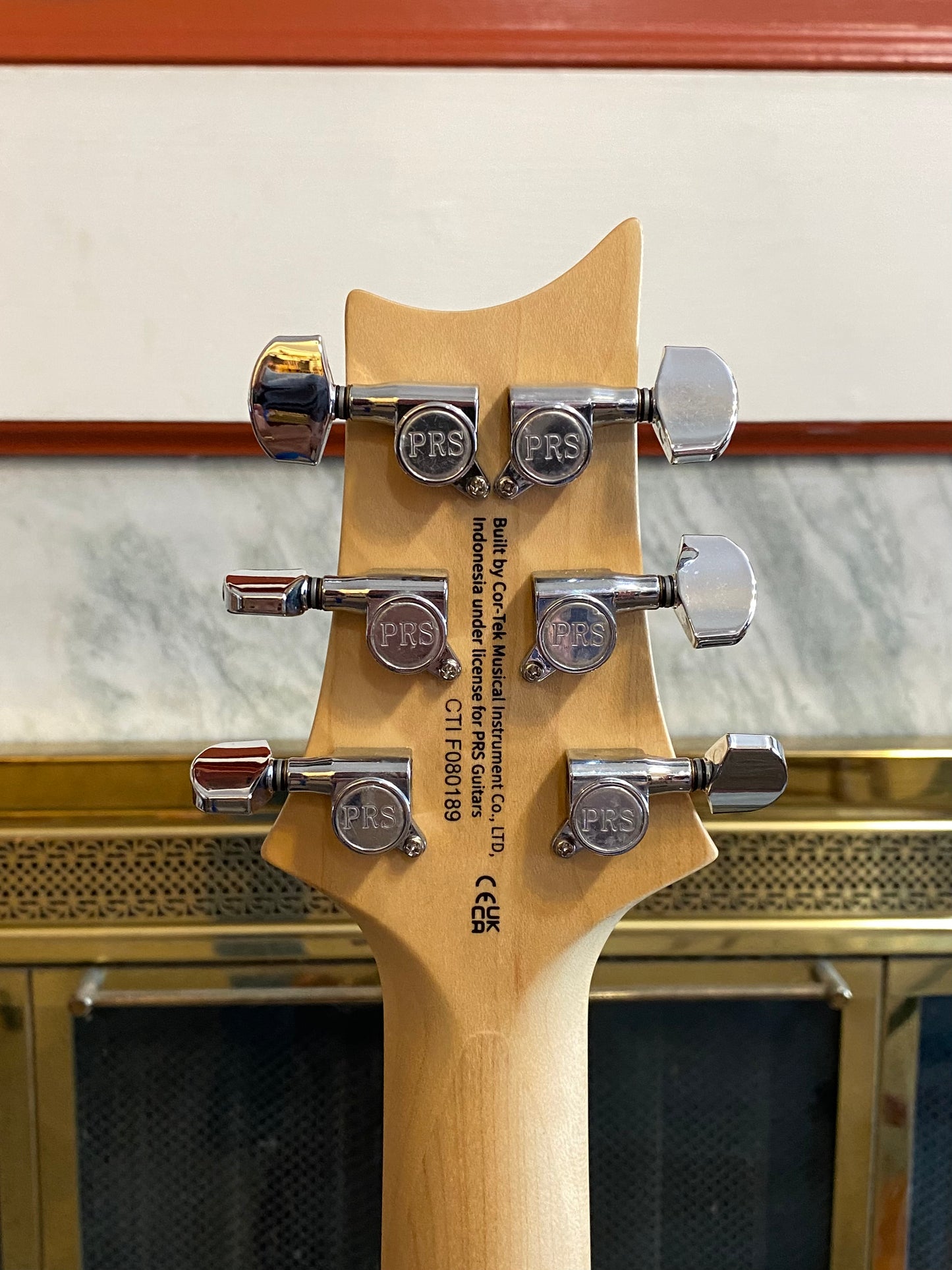 PAUL REED SMITH SE CE-24