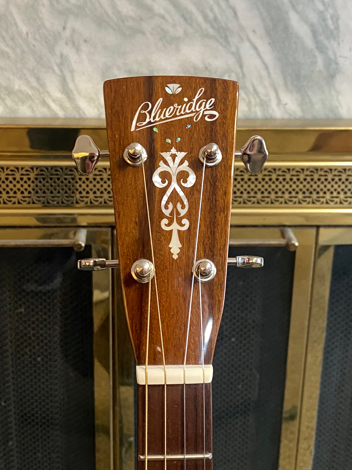 BLUERIDGE BR-60T