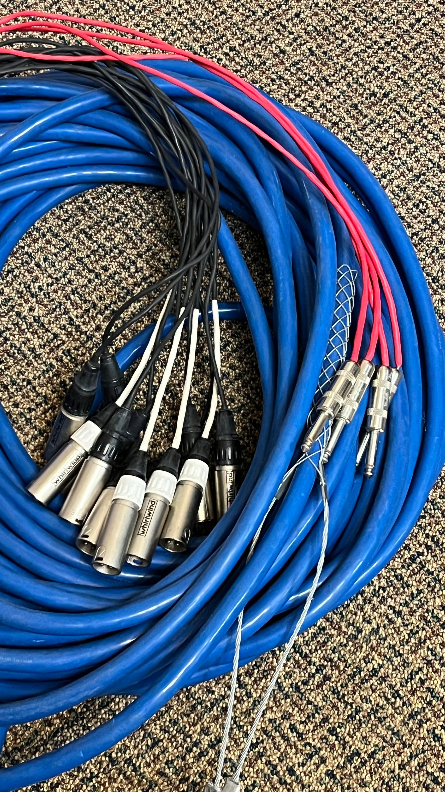 100' Whirlwind  Medusa 12 x 4 snake