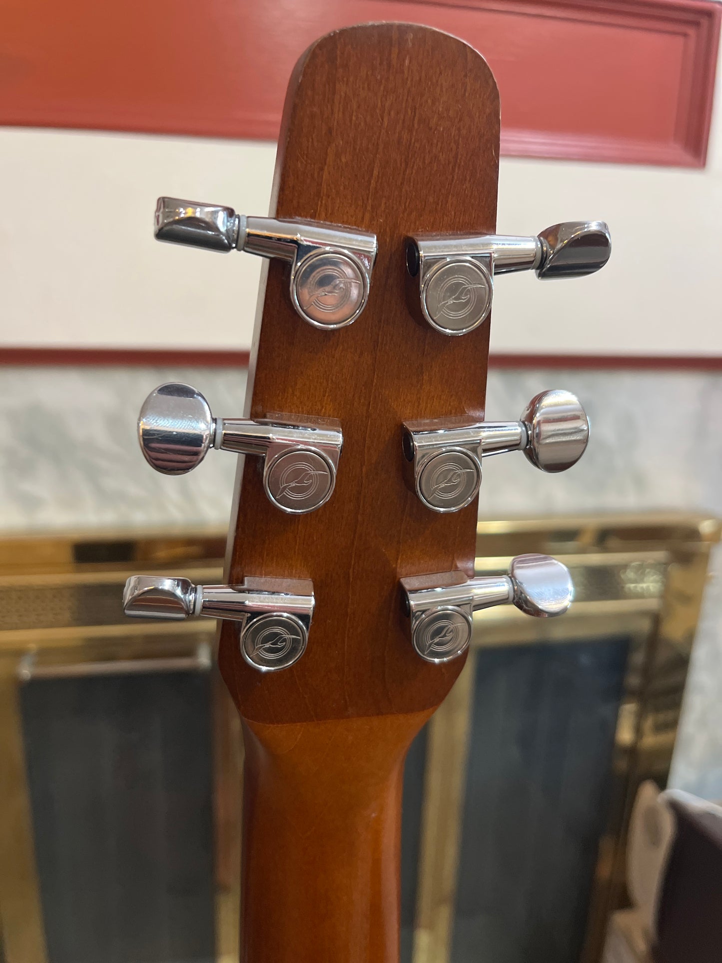 Seagull Entourage Rustic