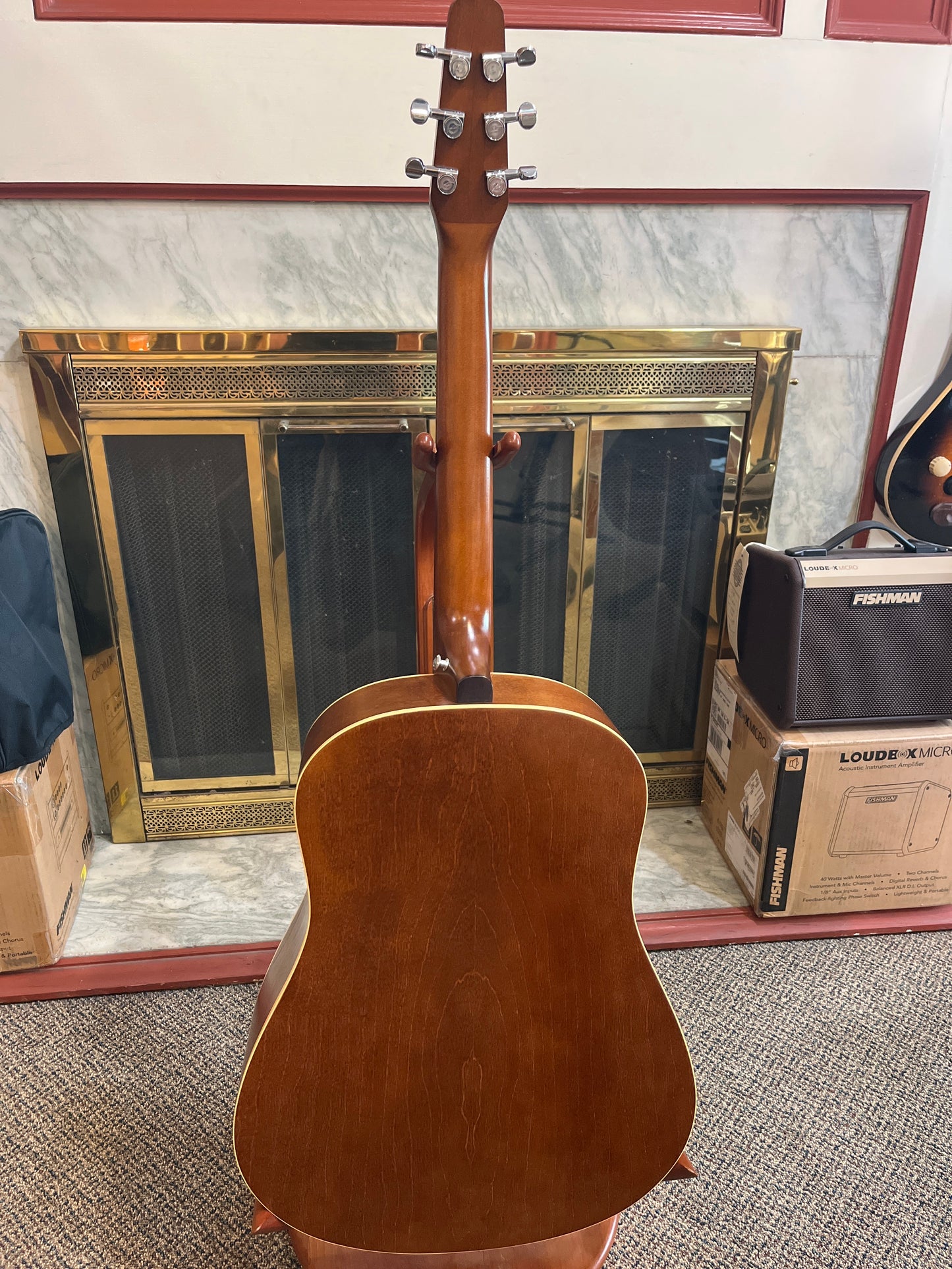 Seagull Entourage Rustic