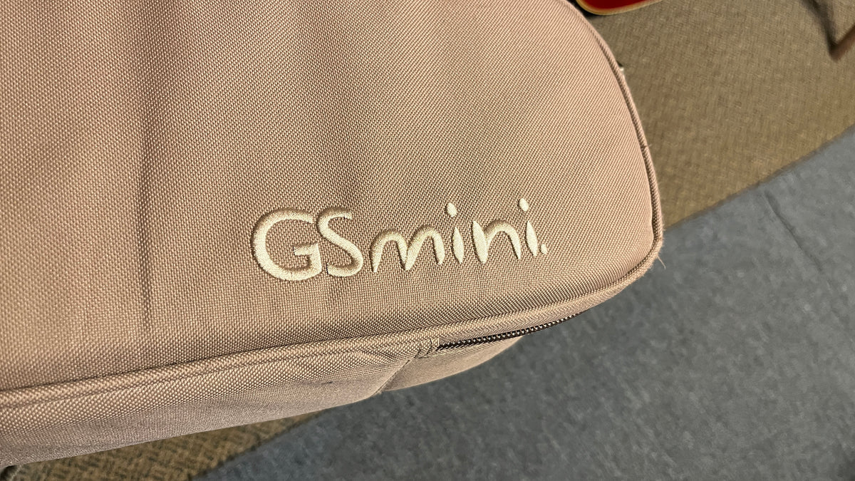 Taylor GS Mini