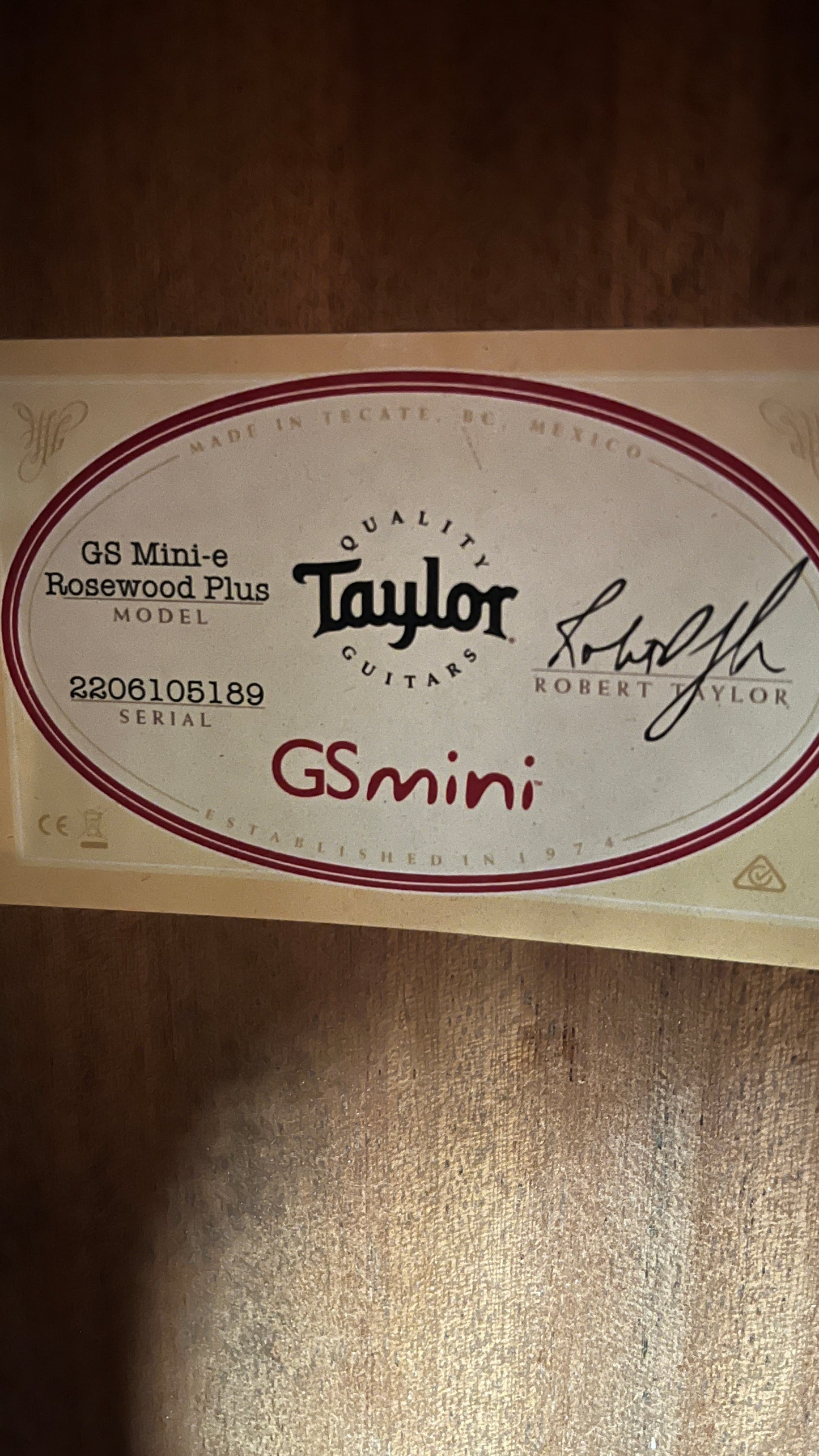 Taylor GS Mini E