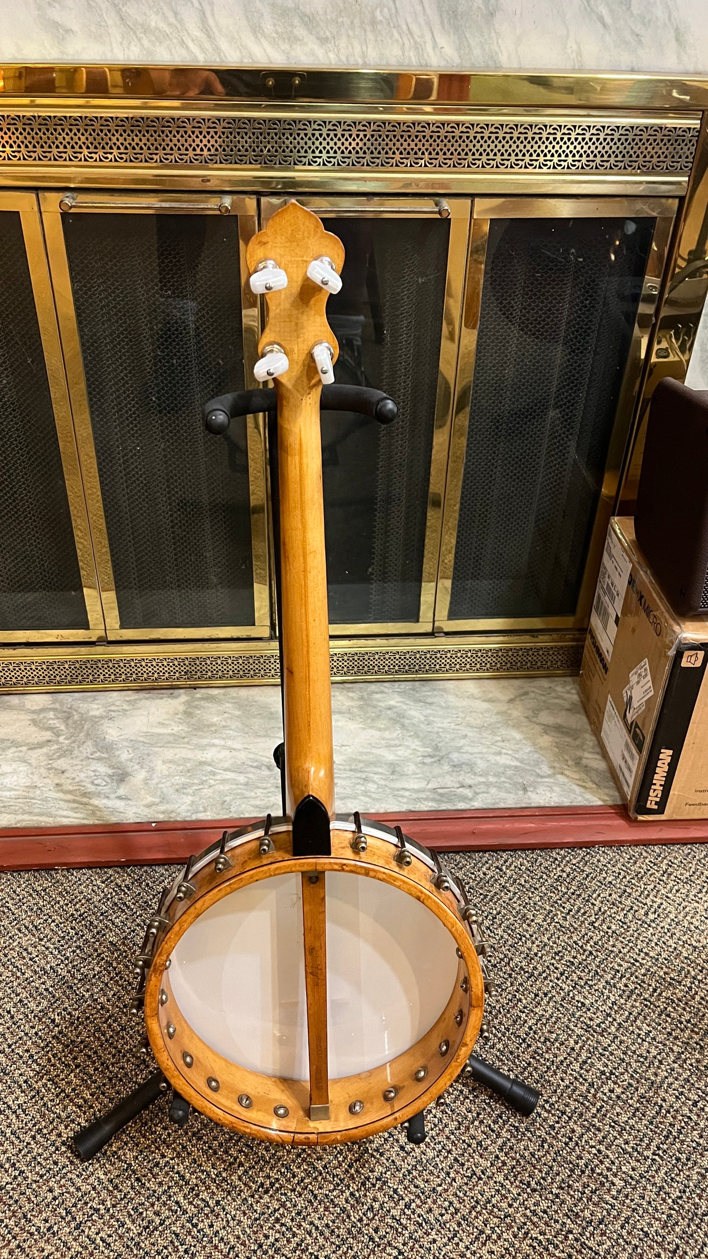 Washburn Style D 17 Fret Tenor Banjo