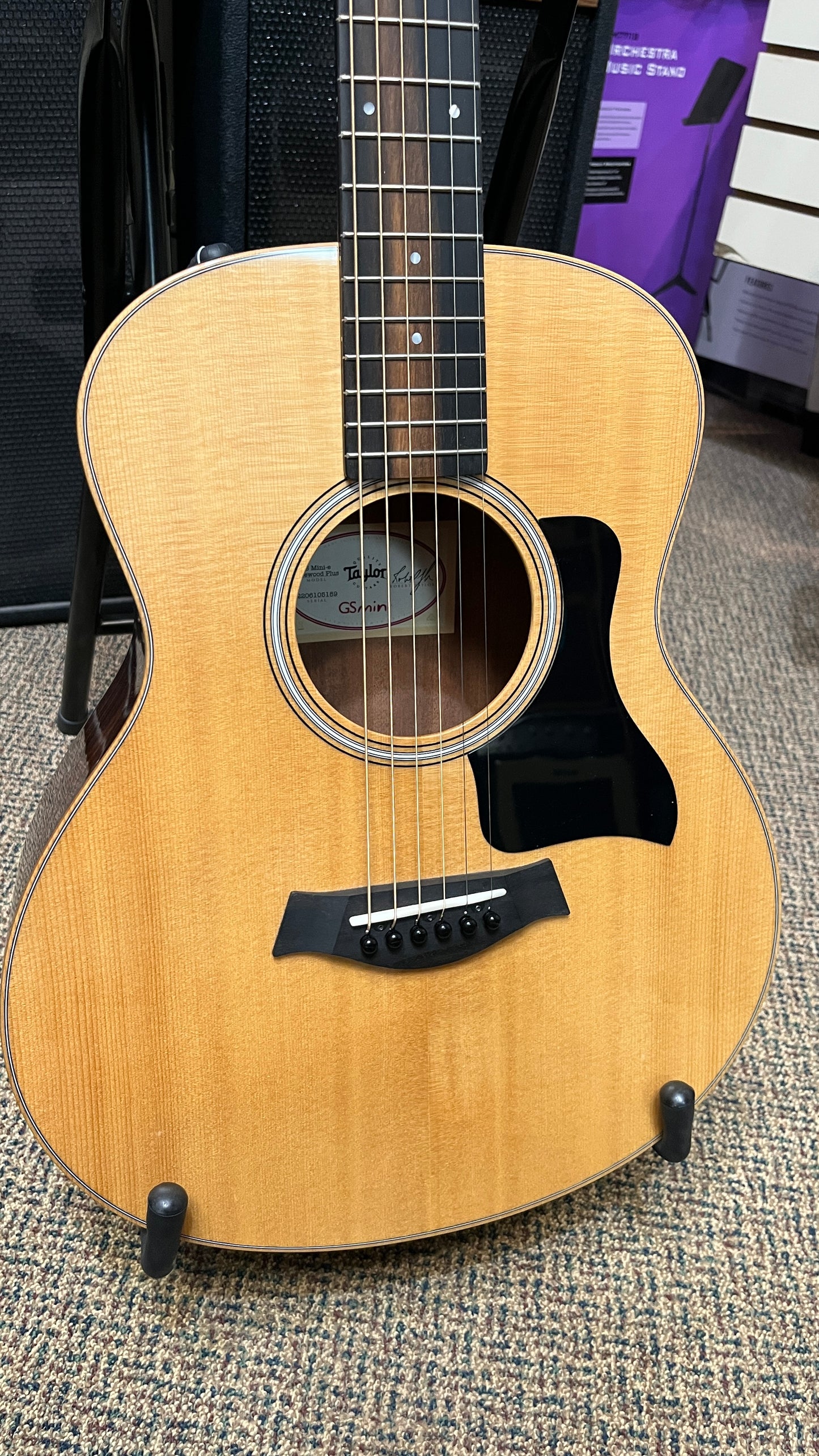 Taylor GS Mini E