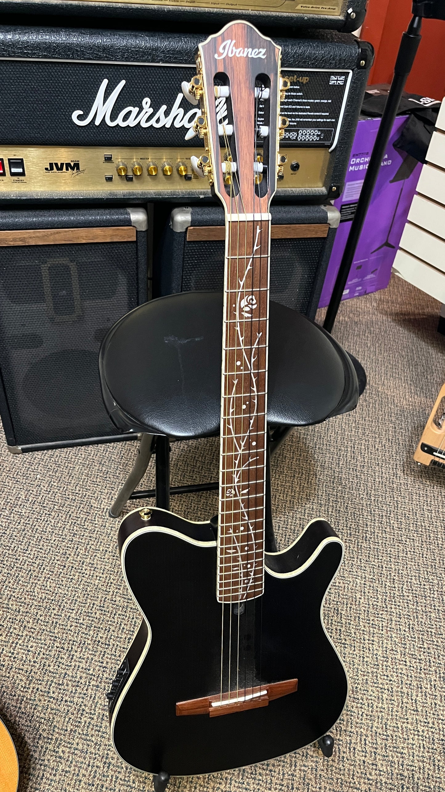 IBANEZ Tim Henson Signature