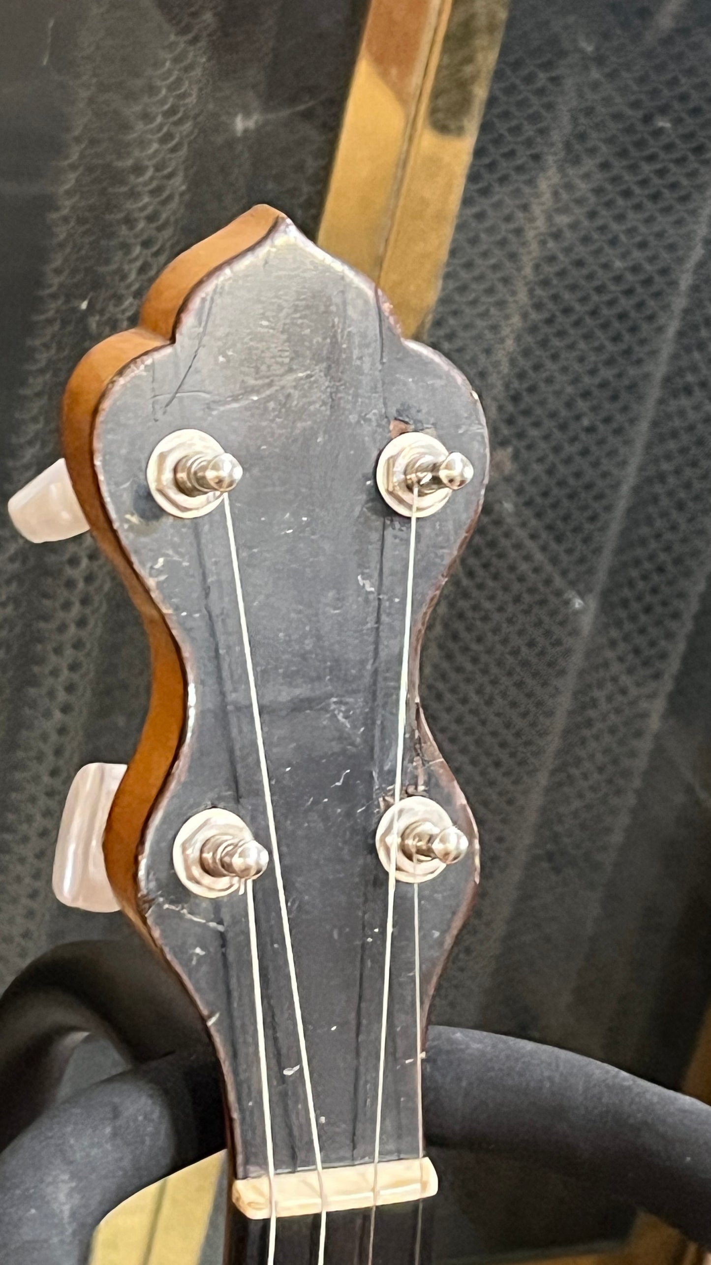 Washburn Style D 17 Fret Tenor Banjo