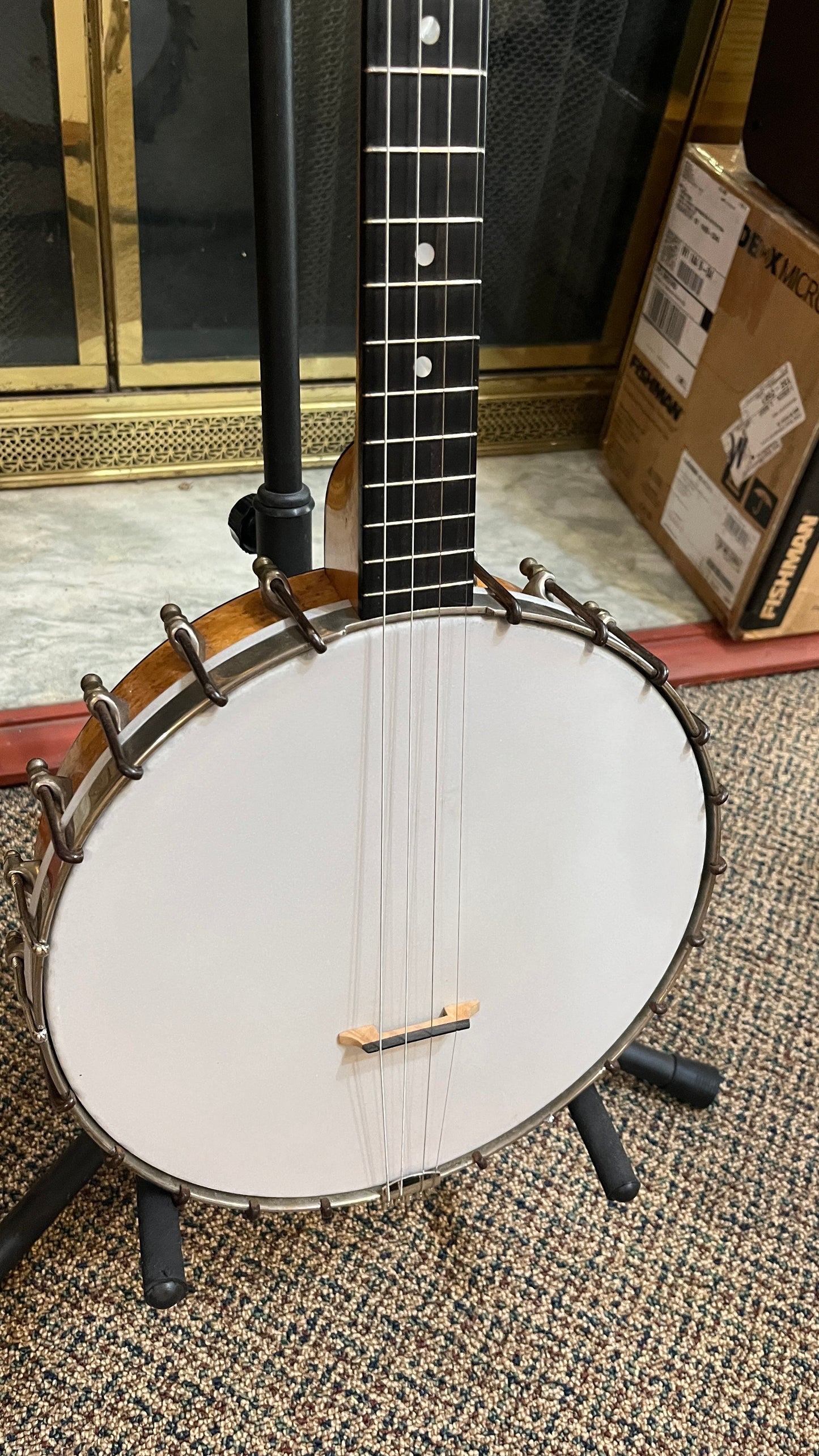 Washburn Style D 17 Fret Tenor Banjo