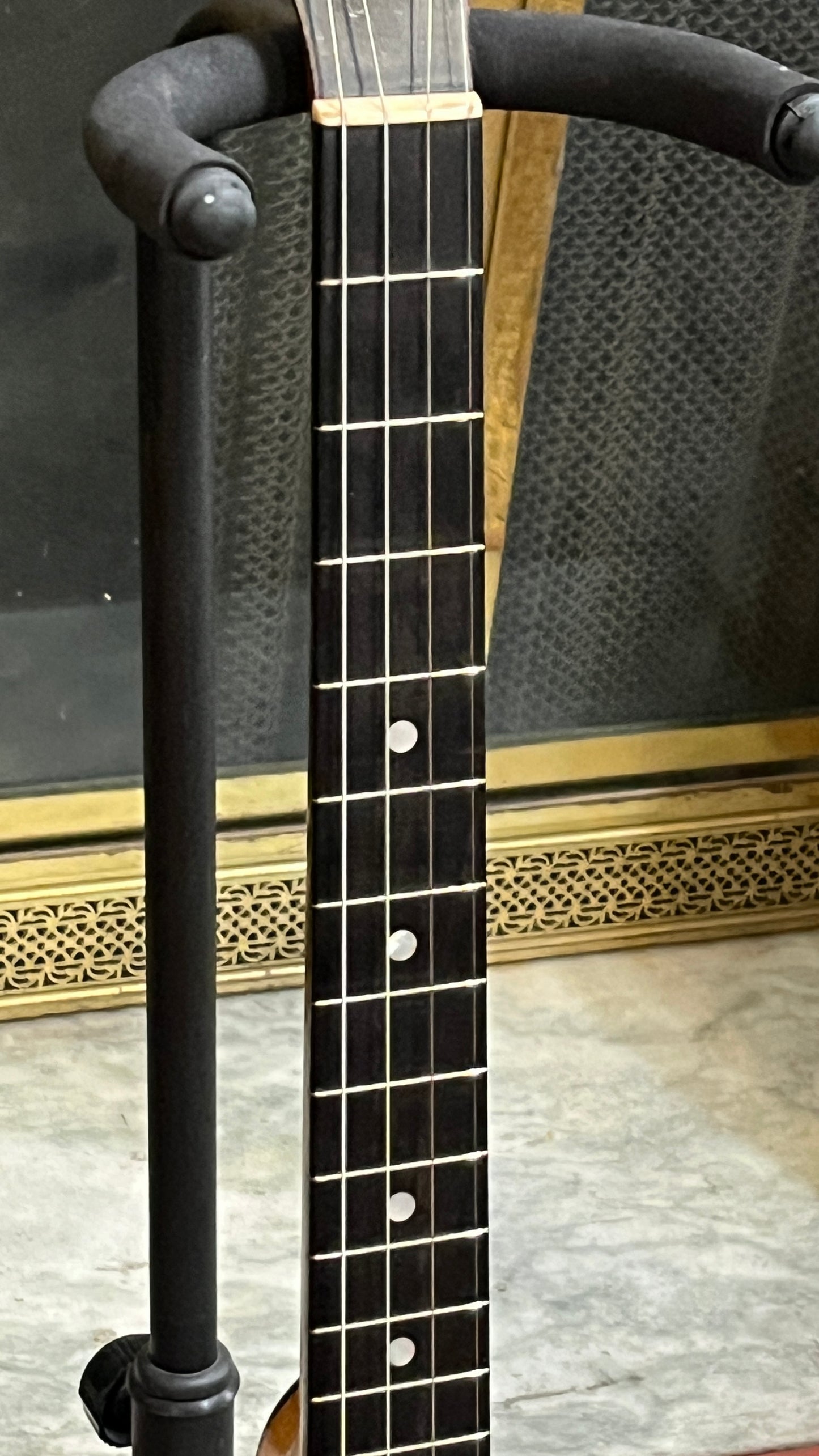 Washburn Style D 17 Fret Tenor Banjo