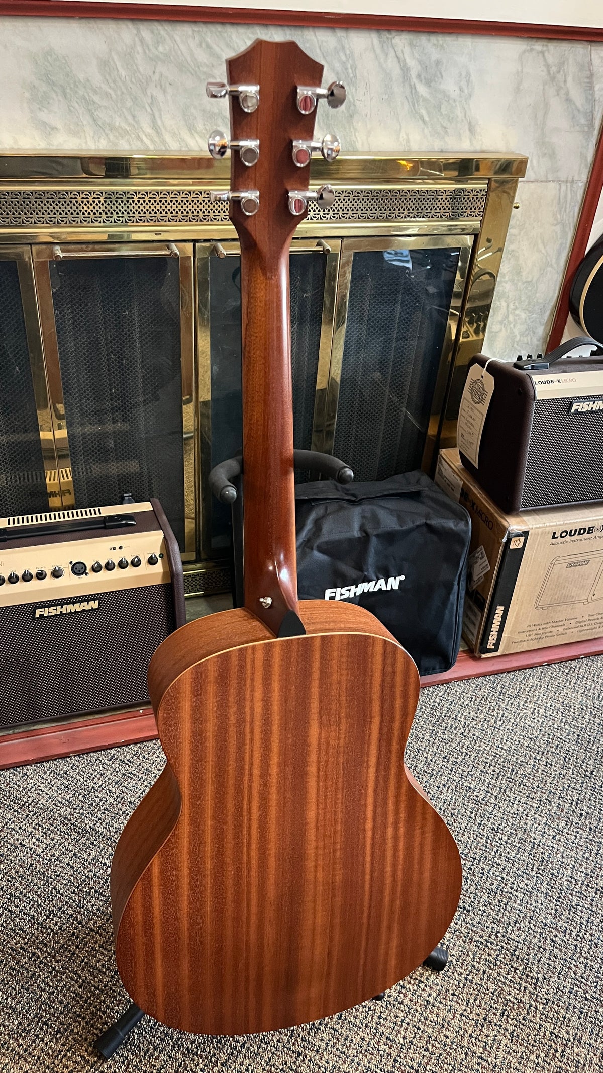 Taylor GS Mini