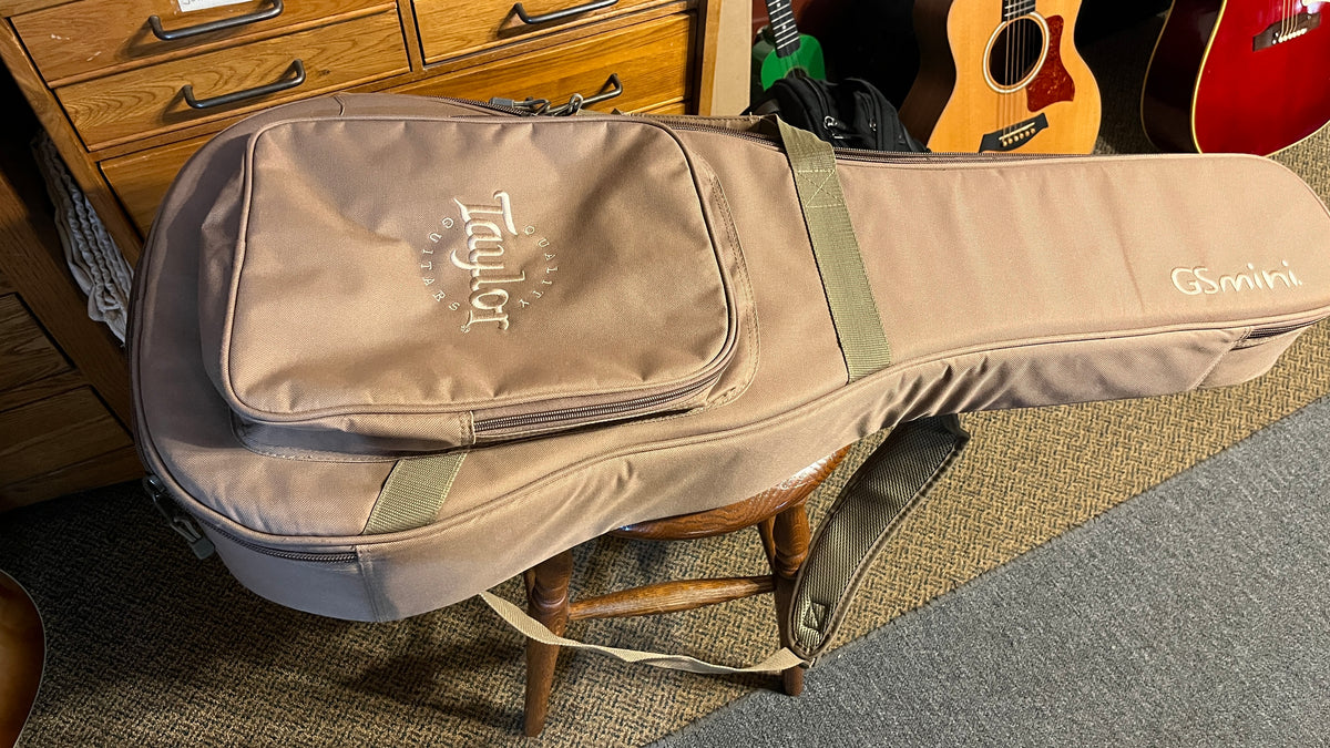 Taylor GS Mini
