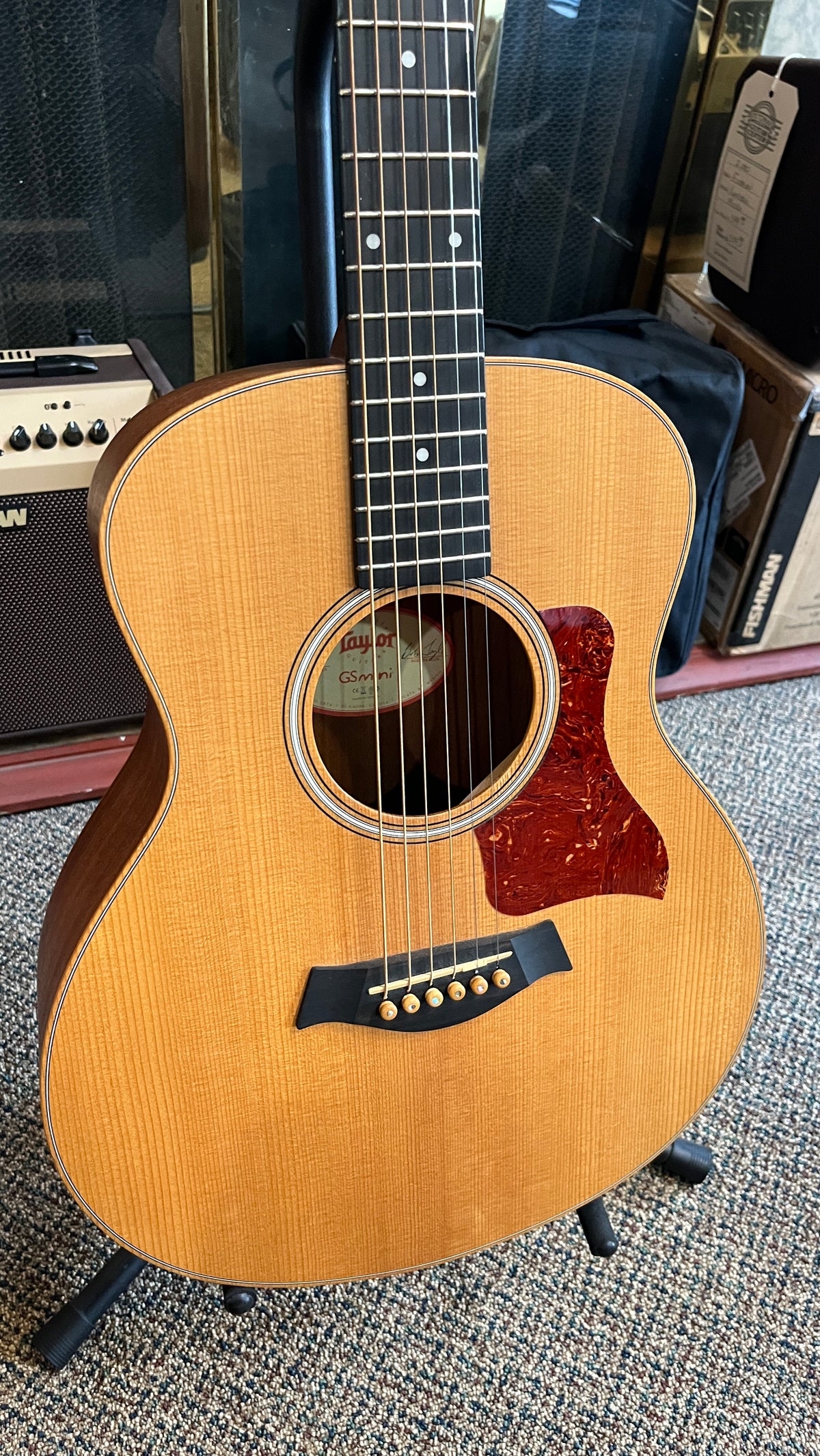 Taylor GS Mini