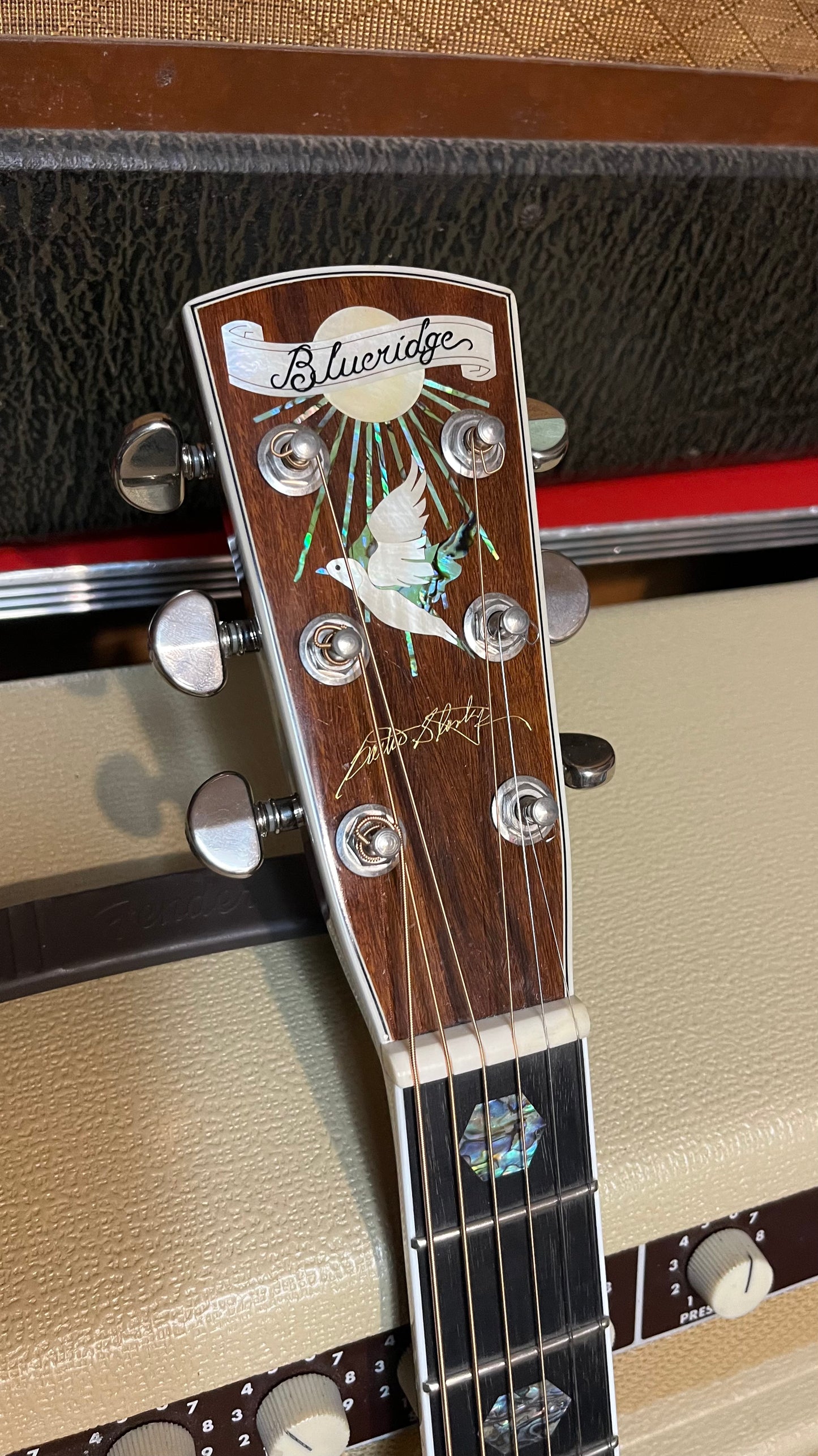 BLUERIDGE BR-1060 Carter Stanley tribute model
