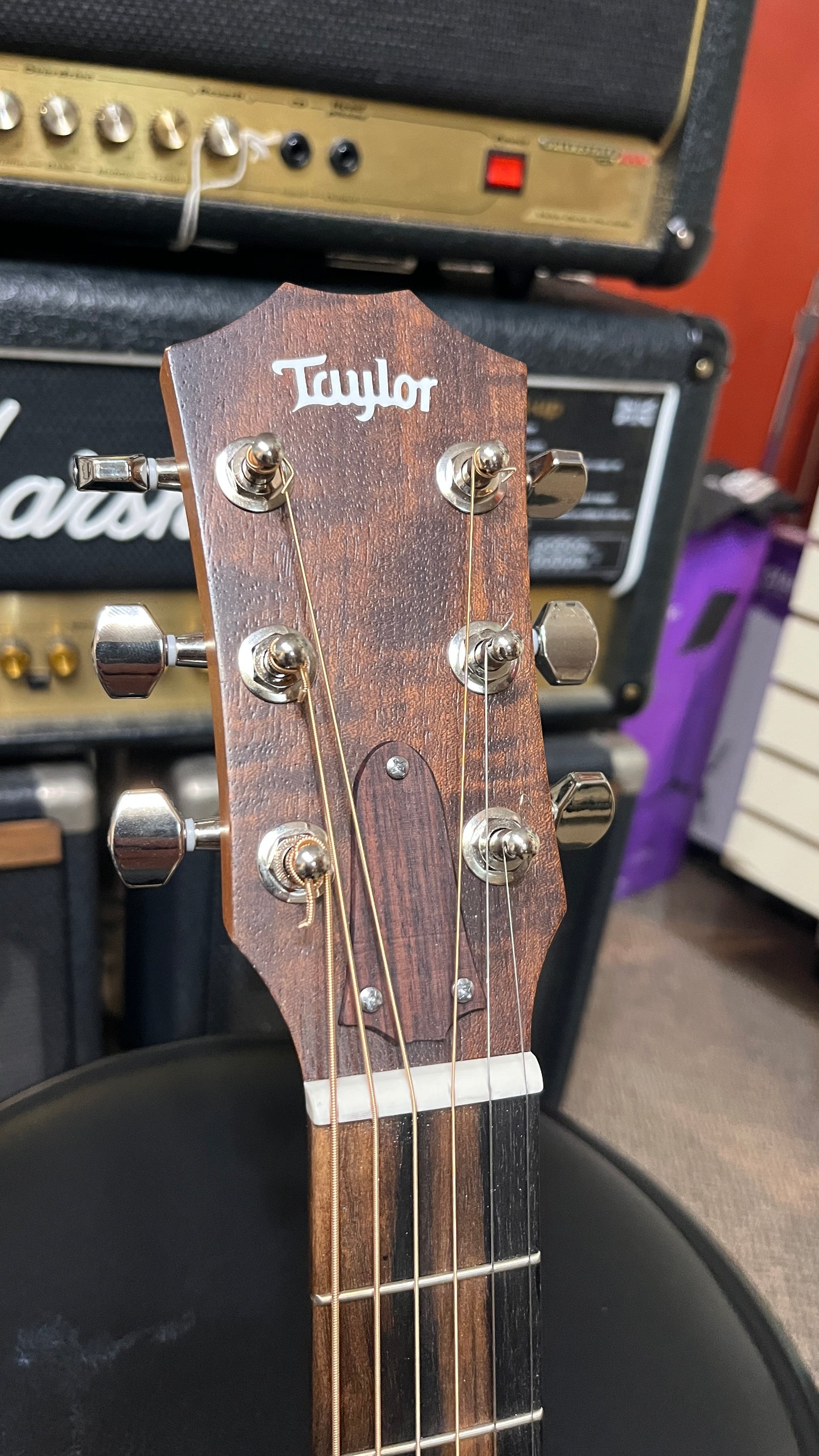 Taylor GS Mini E