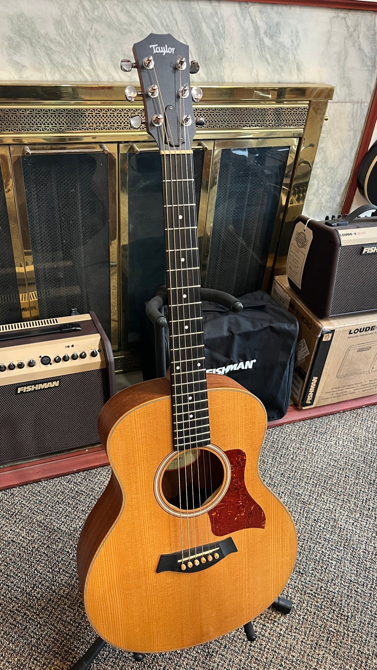 Taylor GS Mini