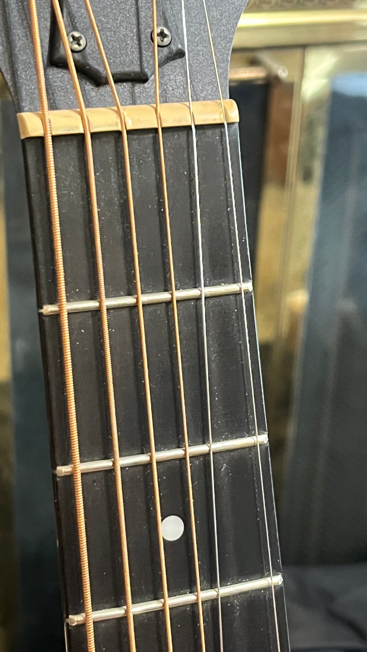 Taylor GS Mini