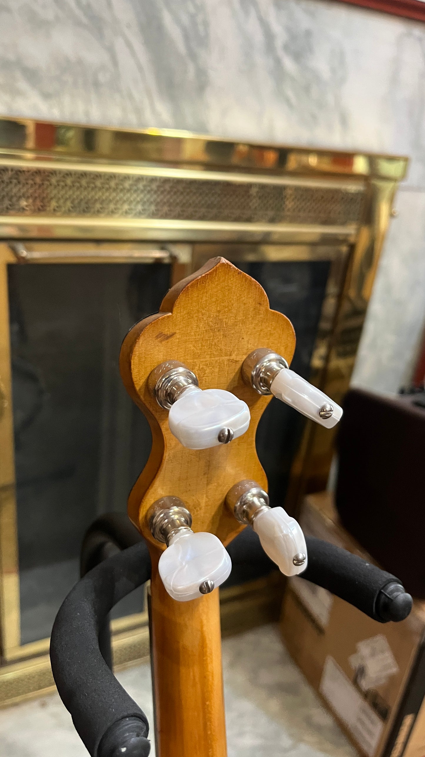 Washburn Style D 17 Fret Tenor Banjo