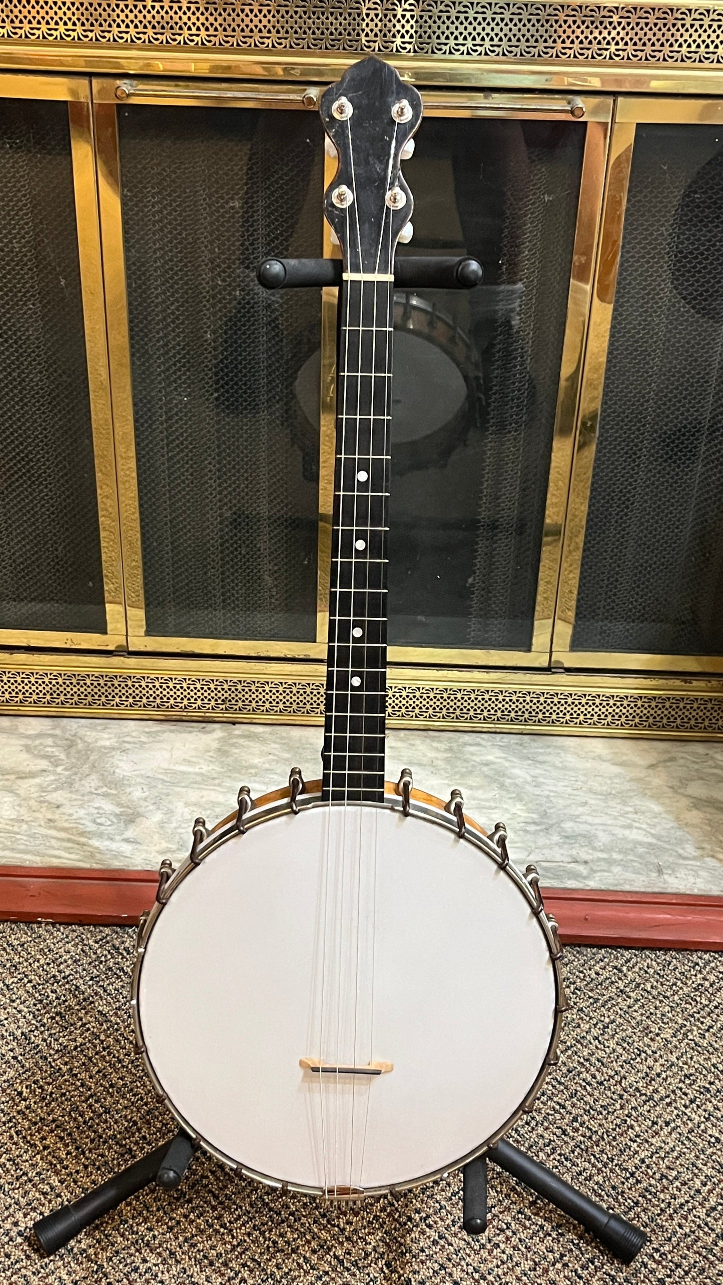 Washburn Style D 17 Fret Tenor Banjo
