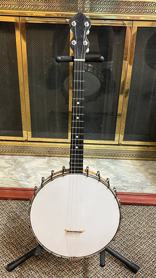 Washburn Style D 17 Fret Tenor Banjo