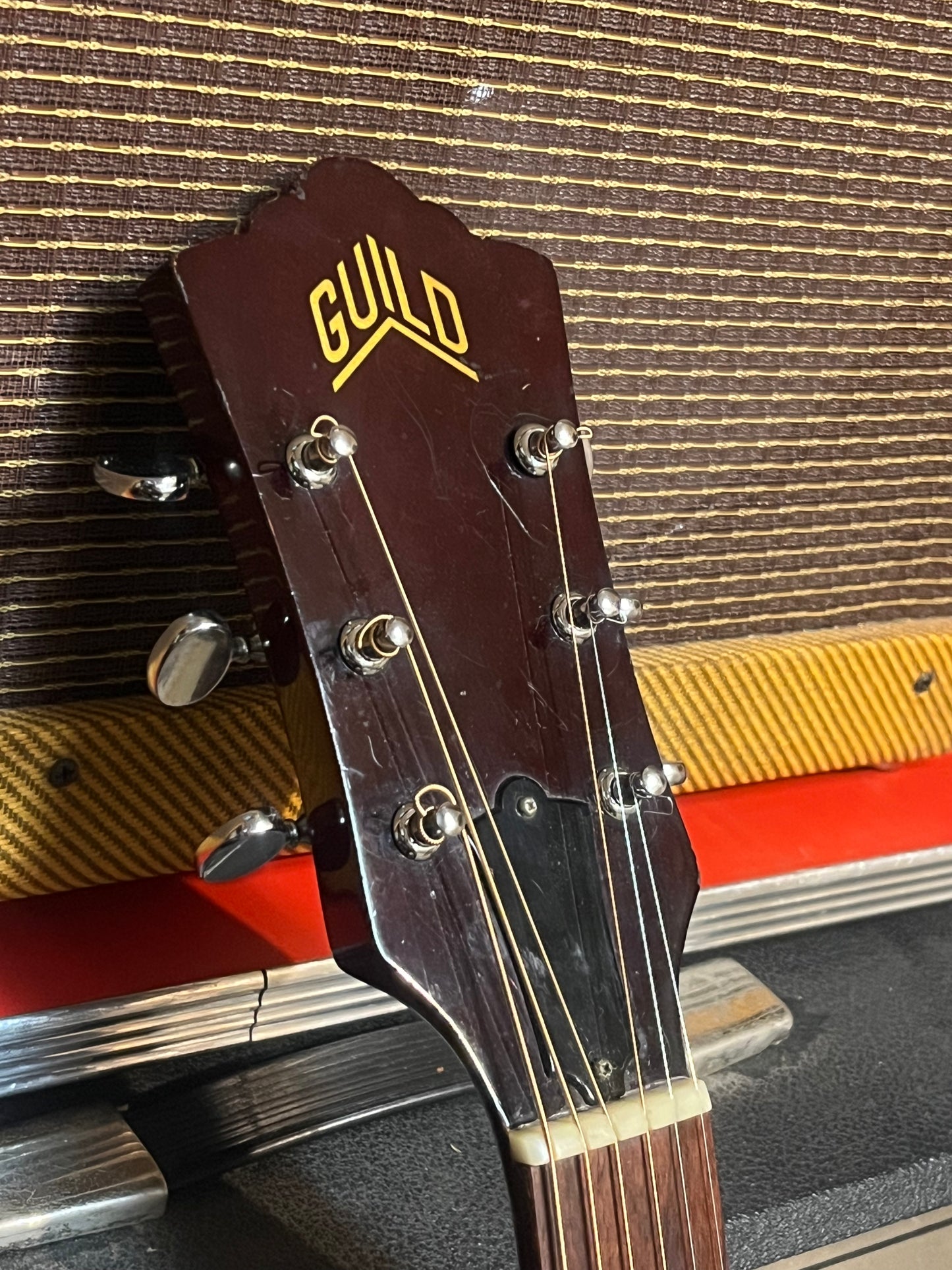 Guild D-25 1973