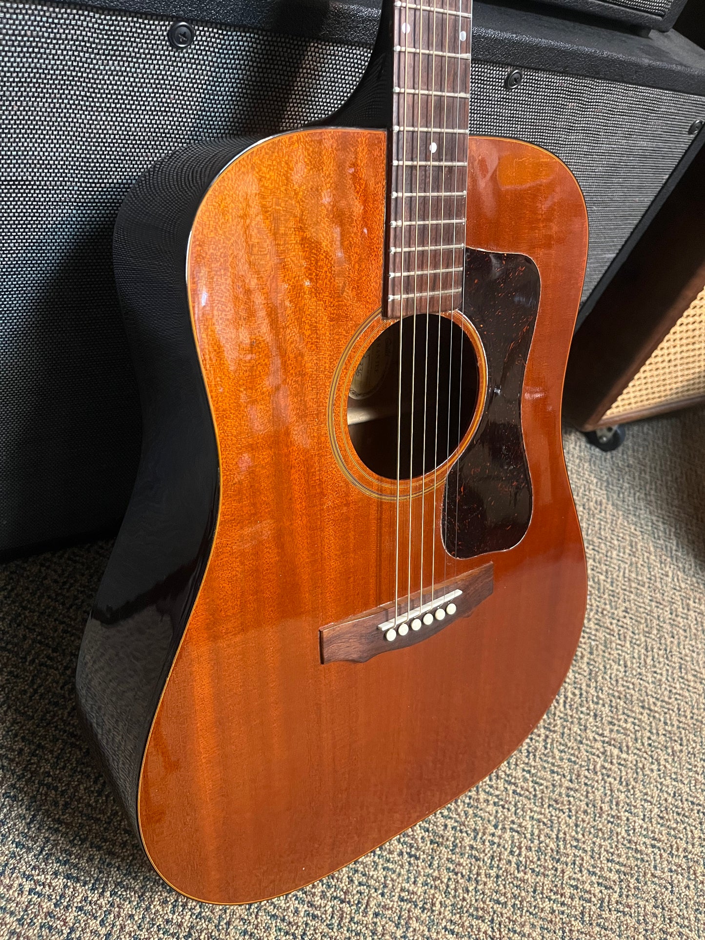 Guild D-25 1973