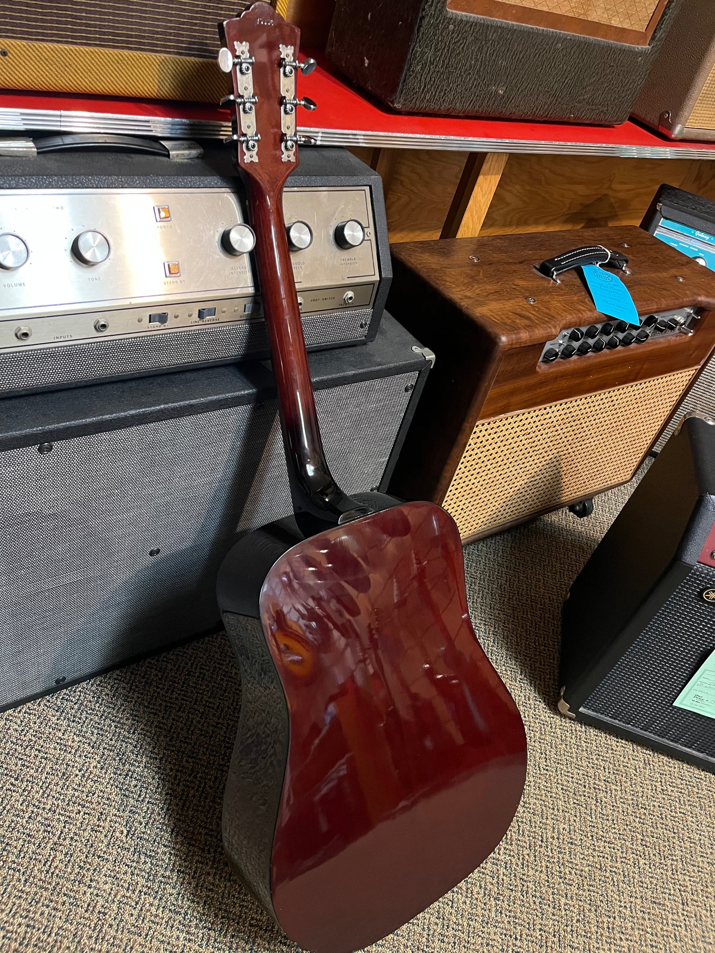 Guild D-25 1973