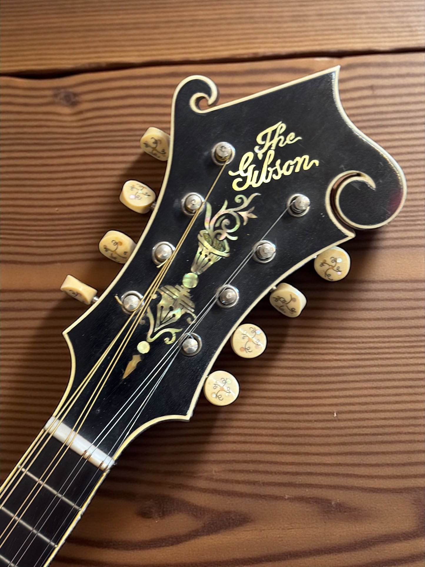 GIBSON F-4
