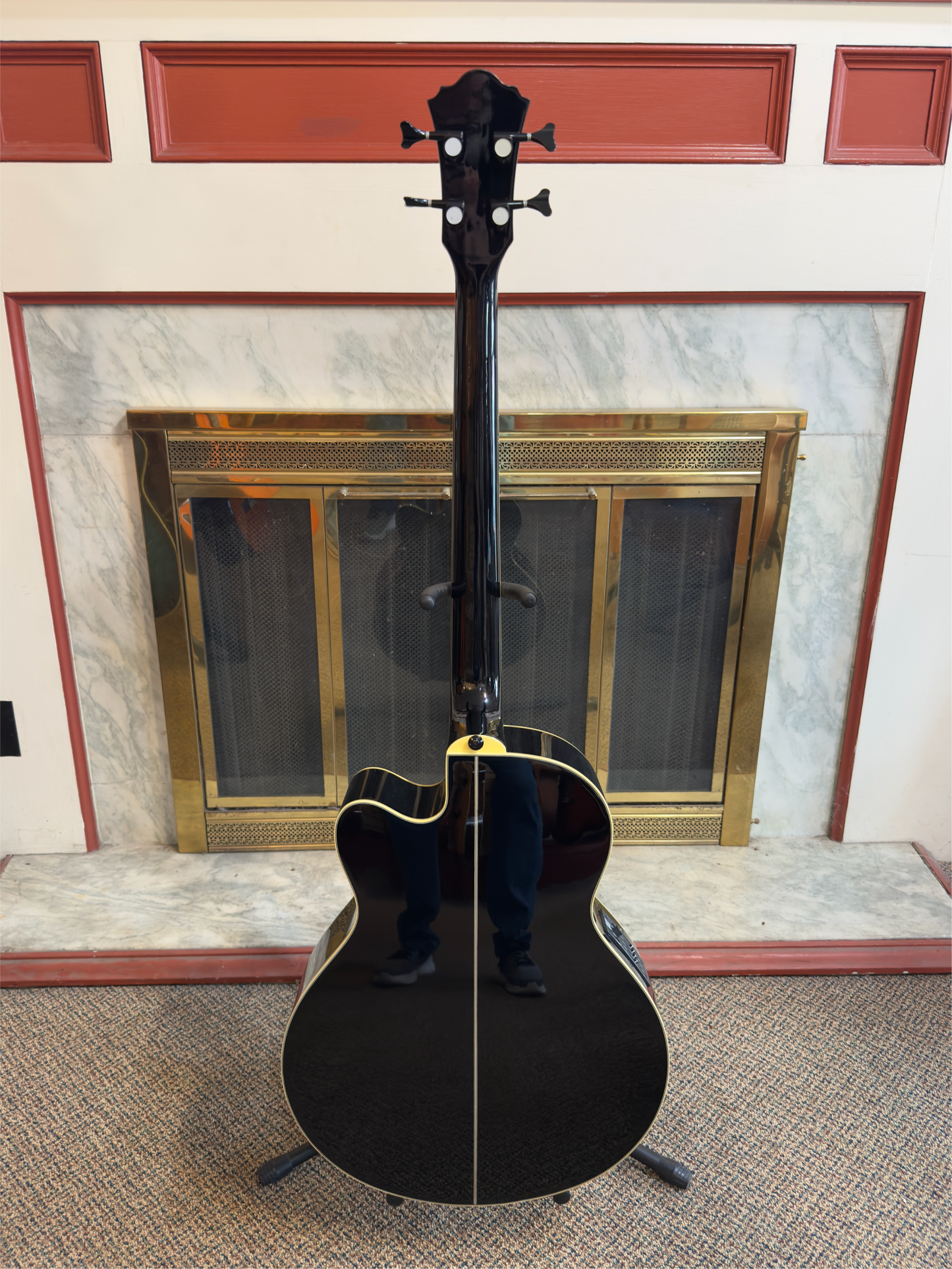 IBANEZ AEB10